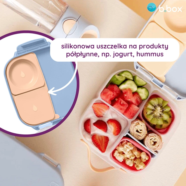 info-mini-lunchbox-1.jpg