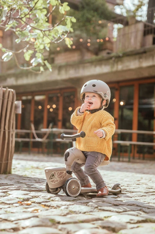 pol_pl_SCOOTANDRIDE-Highwaykick-1-Lifestyle-2w1-Jezdzik-i-hulajnoga-z-zamykanym-schowkiem-1-5-lat-Brown-Lines-9157_52.jpg