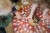 pol_pl_BS-Toys-gra-obserwacyjna-Kot-w-kapeluszu-1784_1.jpg