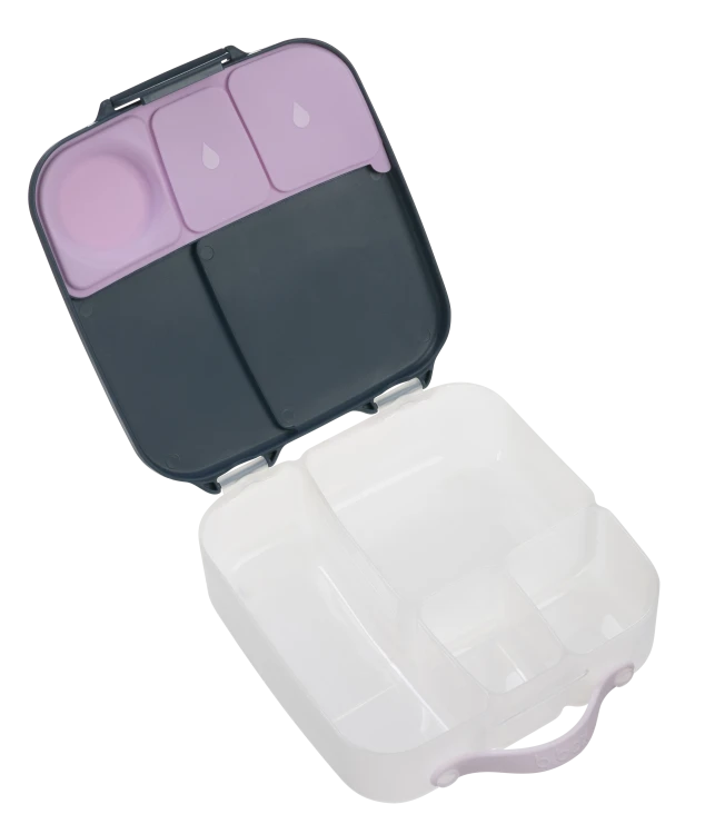 655_indigo rose_lunch box_04.png