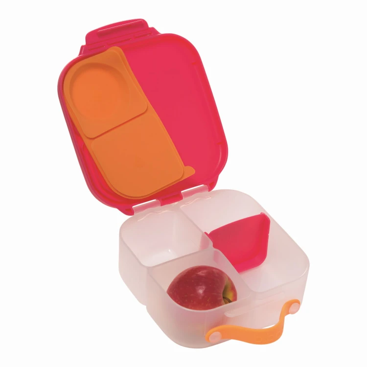 Mini Lunchbox_6.jpeg