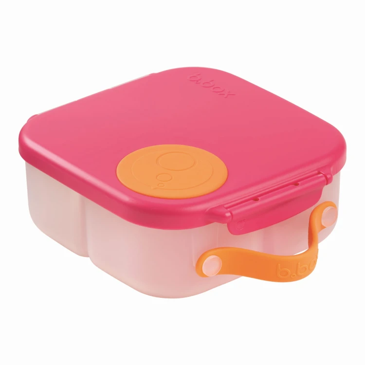 Mini Lunchbox_9.jpeg