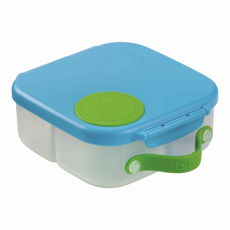 Mini Lunchbox_10.jpeg