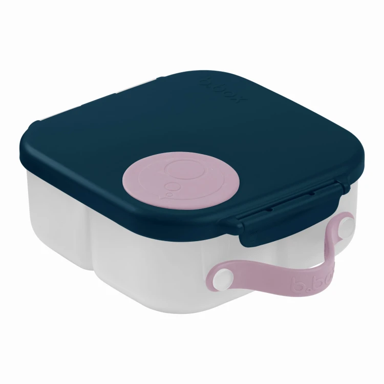 mini lunchbox 10e.jpg