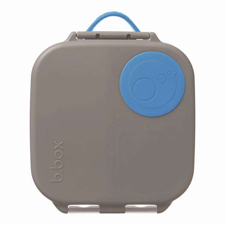 Mini Lunchbox_Blue SLate.jpeg