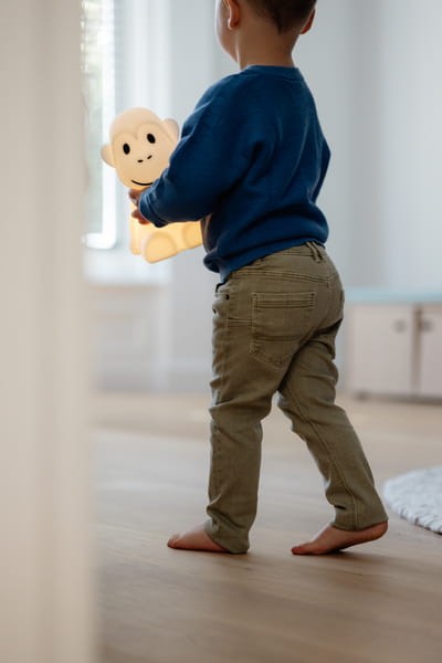 Monkey First Lamp MIDI MrMaria