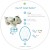 pluszowy-projektor-dla-dzieci-smok-przyjaciel-do-snu-cloud-b-twilight-buddies-_25502_2.jpg