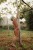 bb2eab14904a0d8b7403c4db6d9d4dce