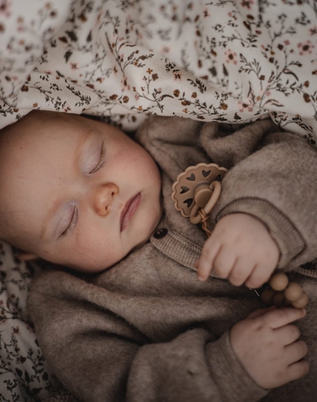 Smoczek uspokajający Fairytale X H.C. Andersen Calineczka Kauczuk 6-18m FRIGG