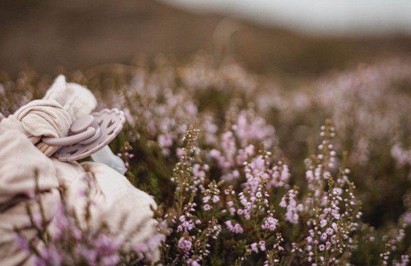 Smoczek uspokajający Fairytale X H.C. Andersen Calineczka Silikon 0-6m FRIGG