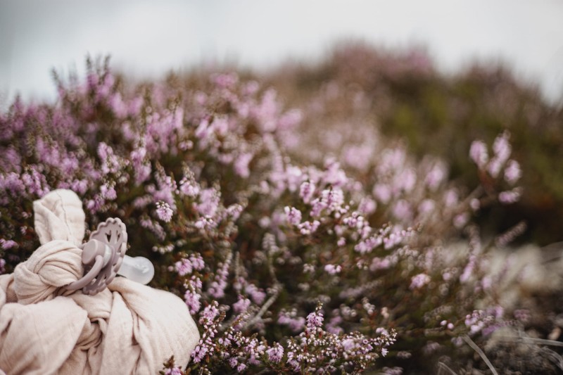 Smoczek uspokajający Fairytale X H.C. Andersen Calineczka Silikon 0-6m FRIGG