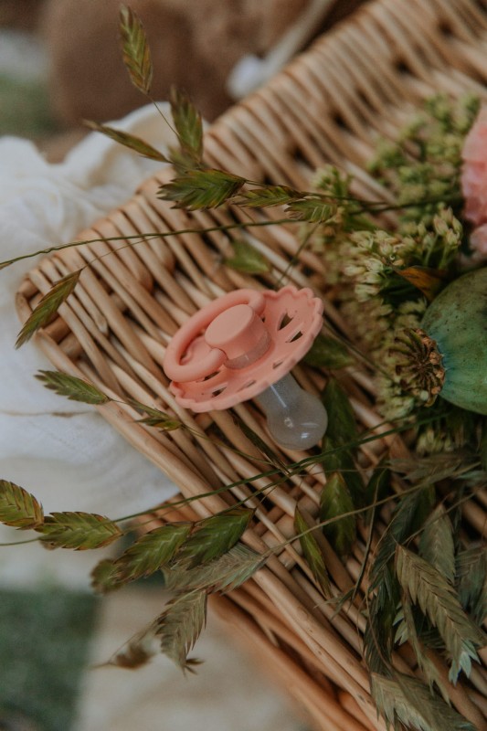 Smoczek uspokajający Fairytale X H.C. Andersen Brzydkie kaczątko Silikon 6-18m FRIGG