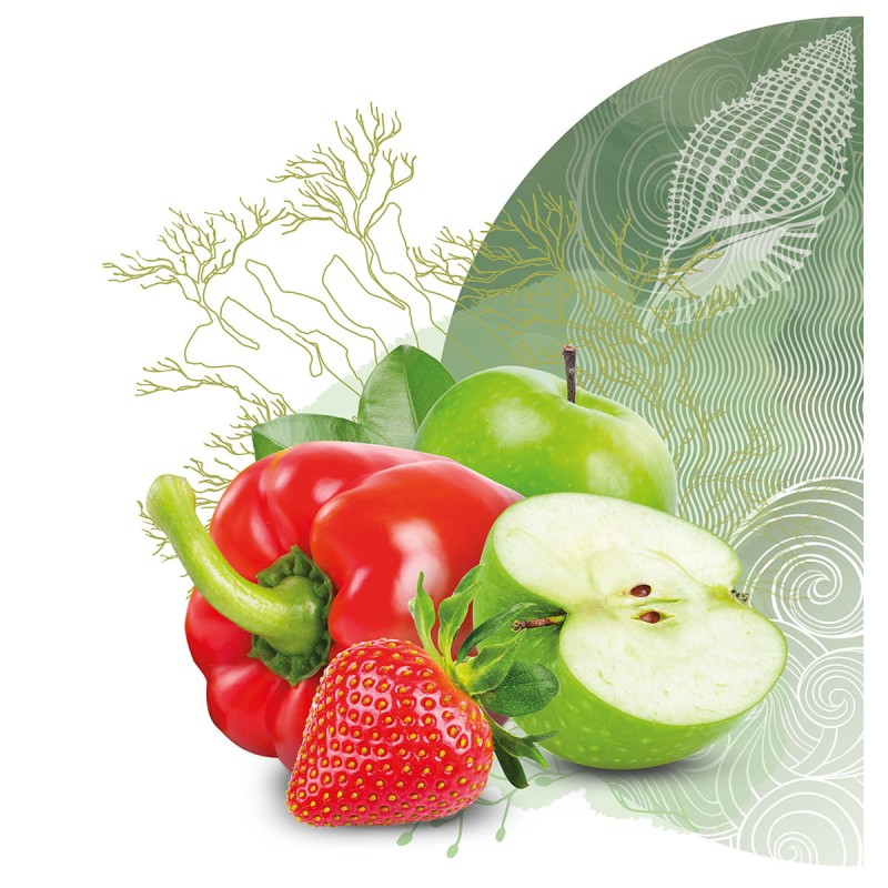 Środek do mycia warzyw i owoców 65 ml dew