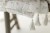 twigs_my_memi_-_4_9.jpg