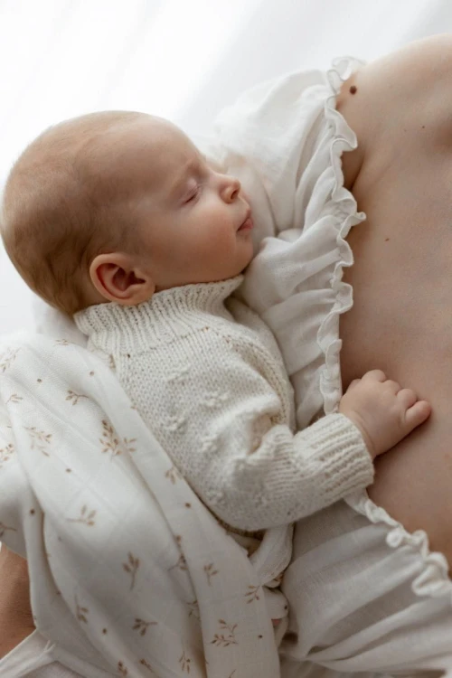 bamboo_muslin_diaper_65x65_-_twigs_-_5905997893558.jpg