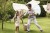 pol_pl_BABYBJORN-nosidelko-Harmony-Woven-Jasny-szary-melanz-34196_1.jpg