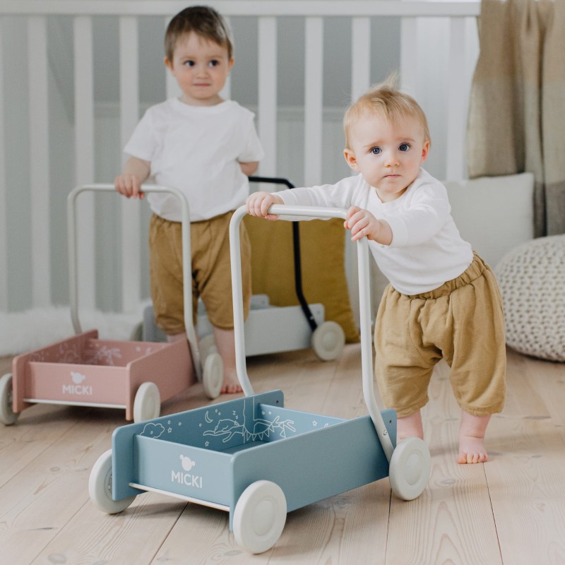 Chodzik Pchacz Drewniany Niebieski Micki