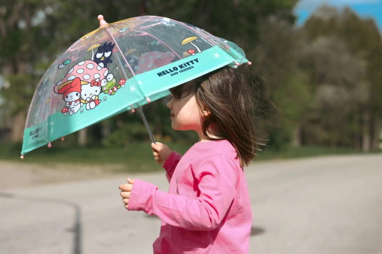 big_I-70000100-Hello-Kitty-umbrella-2.jpg