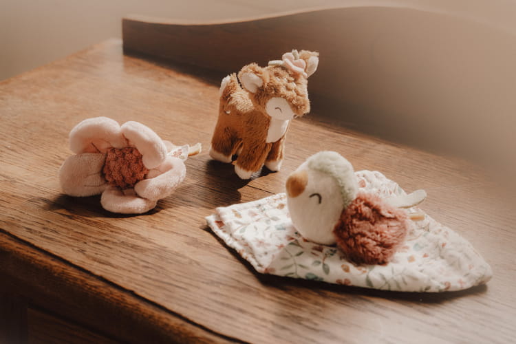 Zestaw prezentowy Fairy Garden Little Dutch