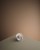 7O0A5890.jpg