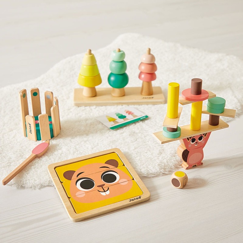 Zestaw zabawek edukacyjnych Box 36 m-cy Janod