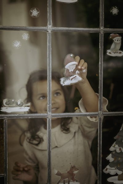 Naklejki na okno X-MAS Little Dutch