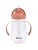 913586-3384349135867-Beaba-Bidon-niekapek-ze-słomką-tritanowy-300-ml-Terracotta- (6).jpg