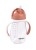 913586-3384349135867-Beaba-Bidon-niekapek-ze-słomką-tritanowy-300-ml-Terracotta- (4).jpg