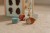 LD7231 - Wooden Activity Cube - Forest Friends (5).jpg