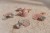 2013747 - Tin tea set Fairy Garden (1).jpg