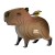 120_capybara_white.jpg