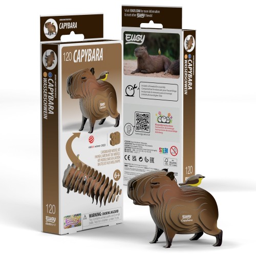 120_PACK3_Capybara_20240716.jpg