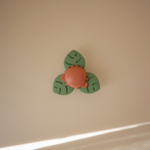 Flat_lays_lastseptember-38_1.jpg
