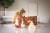 Worek plecak Beary Excited Brown KIDZROOM