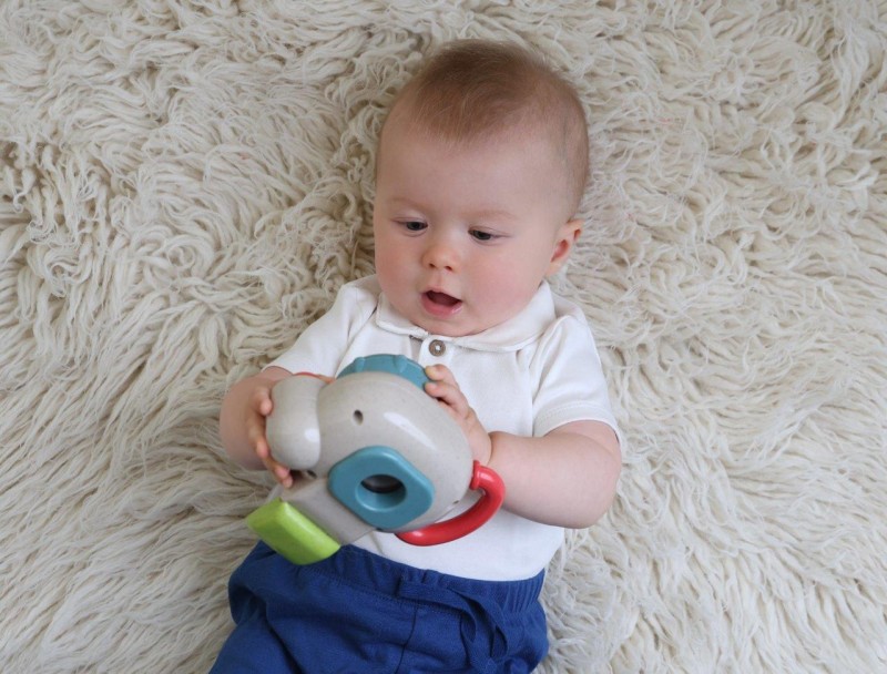 Foto aparat Baby 12m+ TOLO Bio