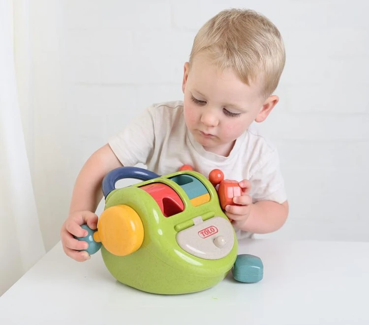 Aktywny sorter kształtów 12m+ TOLO Bio