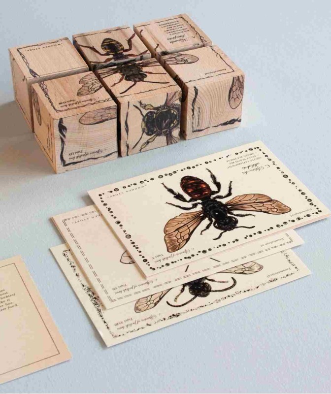 Drewniane Klocki Życie Pszczoły Gatunki Wooden Story