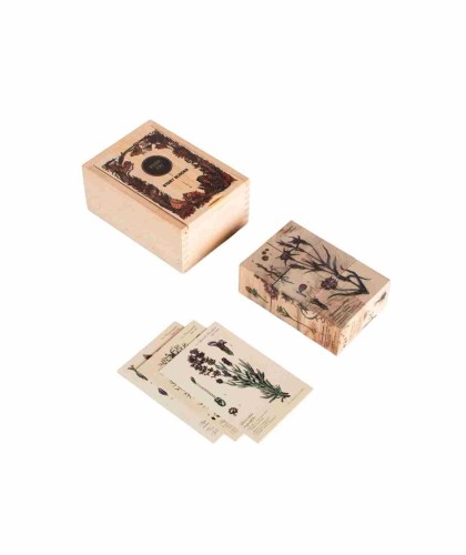 Drewniane Klocki Życie Pszczoły Rośliny Miododajne Wooden Story