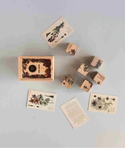 Drewniane Klocki Życie Pszczoły Rośliny Miododajne Wooden Story