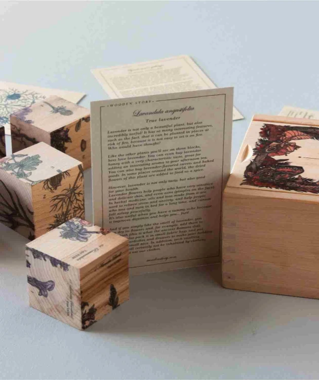 Drewniane Klocki Życie Pszczoły Rośliny Miododajne Wooden Story