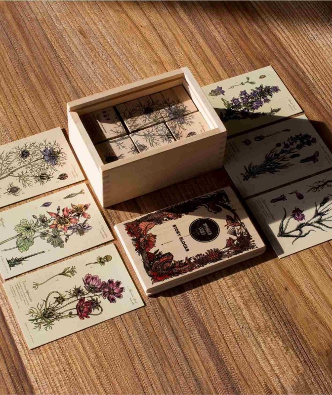 Drewniane Klocki Życie Pszczoły Rośliny Miododajne Wooden Story