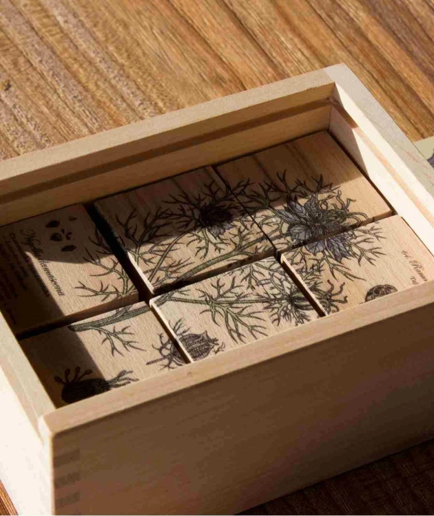 Drewniane Klocki Życie Pszczoły Rośliny Miododajne Wooden Story