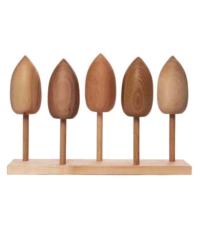 Drewniana Układanka Gatunki Drzew Wooden Story