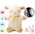 szumiaca-owieczka-z-pozytywka-cloud-b-sleep-sheep-on-the-go_6858_01.jpg