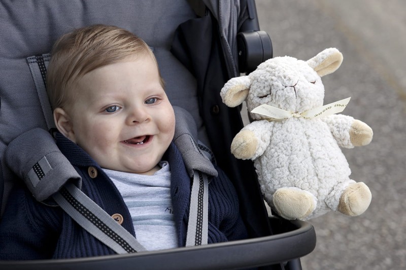 Szumiąca owieczka z pozytywką Sleep Sheep On The Go Cloud B