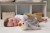 projektor-z-pozytywka-pingwin-eco-cloud-b-tranquil-penguin-_25615_7.jpg