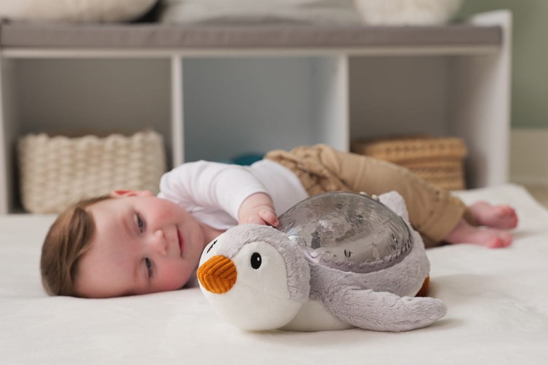 Projektor z pozytywką - Pingwin ECO Tranquil Penguin Cloud B