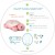 projektor-z-pozytywka-zolw-rozowy-cloud-b-twinkling-twilight-turtle-_20397_2.jpg