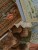1R0A6655.jpg