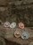 1R0A6474.jpg